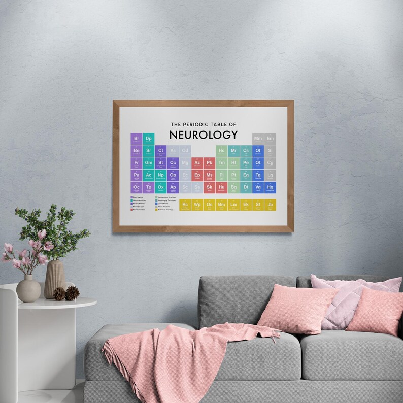 May include: A framed print of "The Periodic Table of Neurology" hangs on a wall. The print features a colourful chart with elements and abbreviations. The frame is a light brown colour. The print is above a grey couch with pink cushions and a pink blanket.
