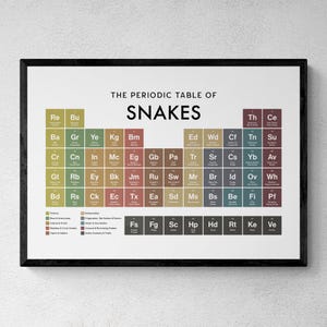 May include: A rectangular wall poster titled The Periodic Table of Snakes, featuring a grid of coloured squares with two-letter abbreviations and snake names. The design includes a legend at the bottom categorising various snake species by colour.