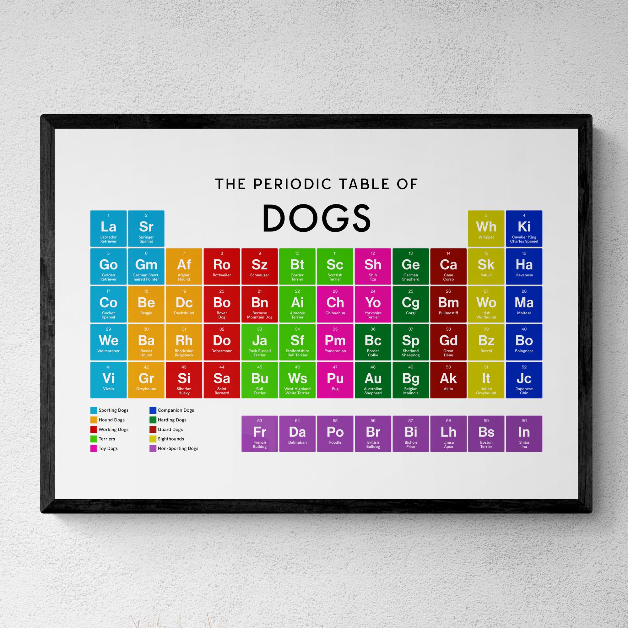 Dogs Root Table Dogs Periodic Table Print, Pets Wall Art, Educational Print, Dog Lover ...