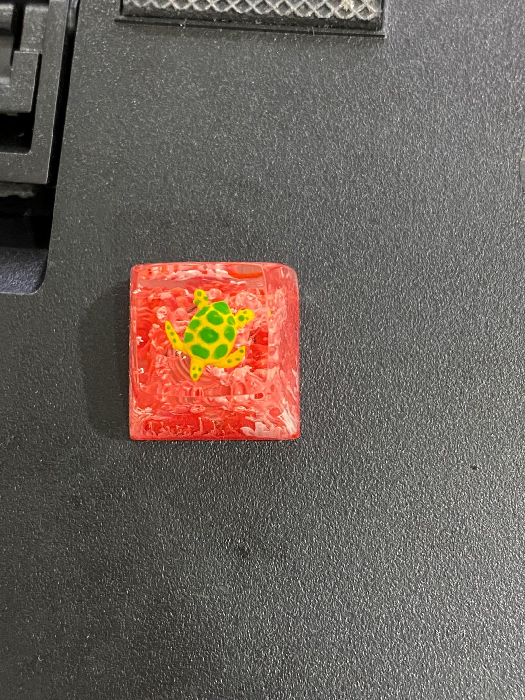 Turtle Keycap Handmade Resin Turtle Keycap for Mechanical Keyboards - Etsy