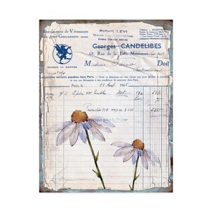 DIGITAL Vintage Botanical Junk Journal Ephemera, Folha de colagem para download instantâneo, Coleção botânica para impressão