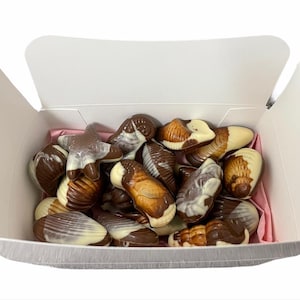 Puede incluir: Una caja blanca llena de conchas y estrellas de mar de chocolate. Los chocolates son una mezcla de chocolate negro y blanco.