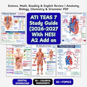 Può includere: Una guida di studio digitale per gli esami ATI TEAS 7 e HESI A2, con grafici educativi colorati sui sistemi urinario, cardiovascolare, digerente e muscolare, oltre alla circolazione sanguigna, 50 schede di lavoro e 30 argomenti inclusi.