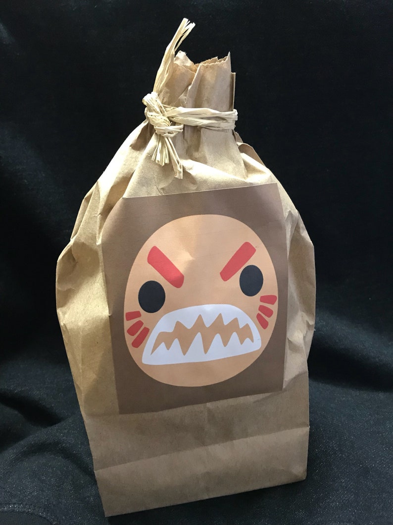 Disney Moana Kakamora Coconut Pirates Party Favor Bags Decor | Etsy