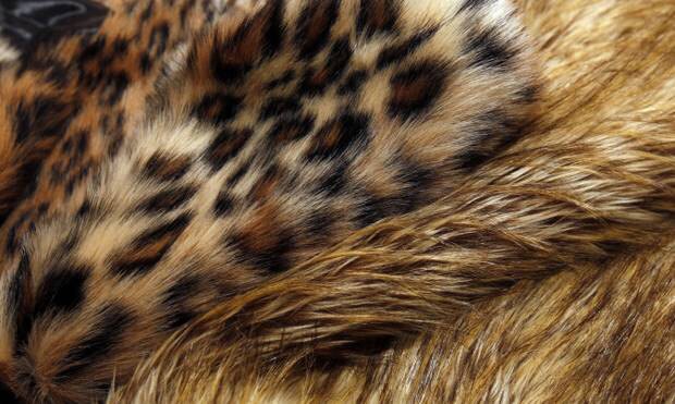 Leopard Animal Print Faux Fur Short Sleeve Bolero Jacket Shrug - Etsy