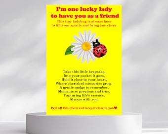 May include: A yellow card with the text "I'm one lucky lady to have you as a friend." The card features a daisy and a ladybug illustration. The card is on a white pedestal.