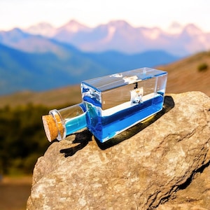 Anime Ship in a Bottle: Straw Hat Pirates - Going Merry & Thousand Sunny