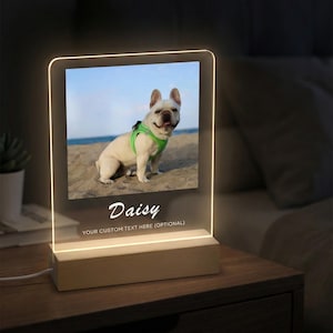 May include: An illuminated photo frame featuring a dog named Daisy on a beach. The frame has a wooden base and the text "YOUR CUSTOM TEXT HERE (OPTIONAL)" is below the name. The frame emits a warm light, creating a soft glow.