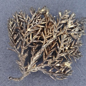 Puede incluir: Broche metálico detallado con forma de ramita de planta estilizada. El broche tiene una superficie compleja y texturizada con una red de pequeñas hojas puntiagudas. El color es una mezcla de plata y oro, con un aspecto ligeramente envejecido.