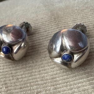 以下が含まれることがあります： 丸みを帯びた花びらのようなデザインの、銀色のイヤリングのペア。各イヤリングの中央には、小さく丸い青い宝石が付いています。イヤリングは、質感のある花の形をしたポストが付いています。