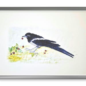 Vogel-Aquarelldruck (Porto nach Deutschland)