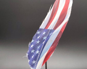 American Flag Hat Feather