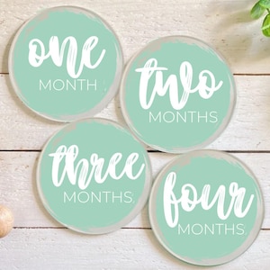 Ensemble d'étapes mensuelles en acrylique pour bébé, disques d'étapes mensuelles pour bébé, marqueurs mensuels en acrylique, accessoires photo nouveau-né Fichiers SVG | PNG | JPG-001