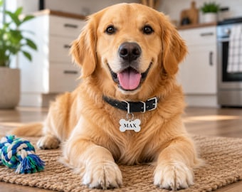 May include: A golden retriever dog with light brown fur lying down, wearing a black leather collar with a silver bone-shaped metal tag engraved with the name MAX. A blue, white, and green braided rope toy is positioned to the left of the dog.