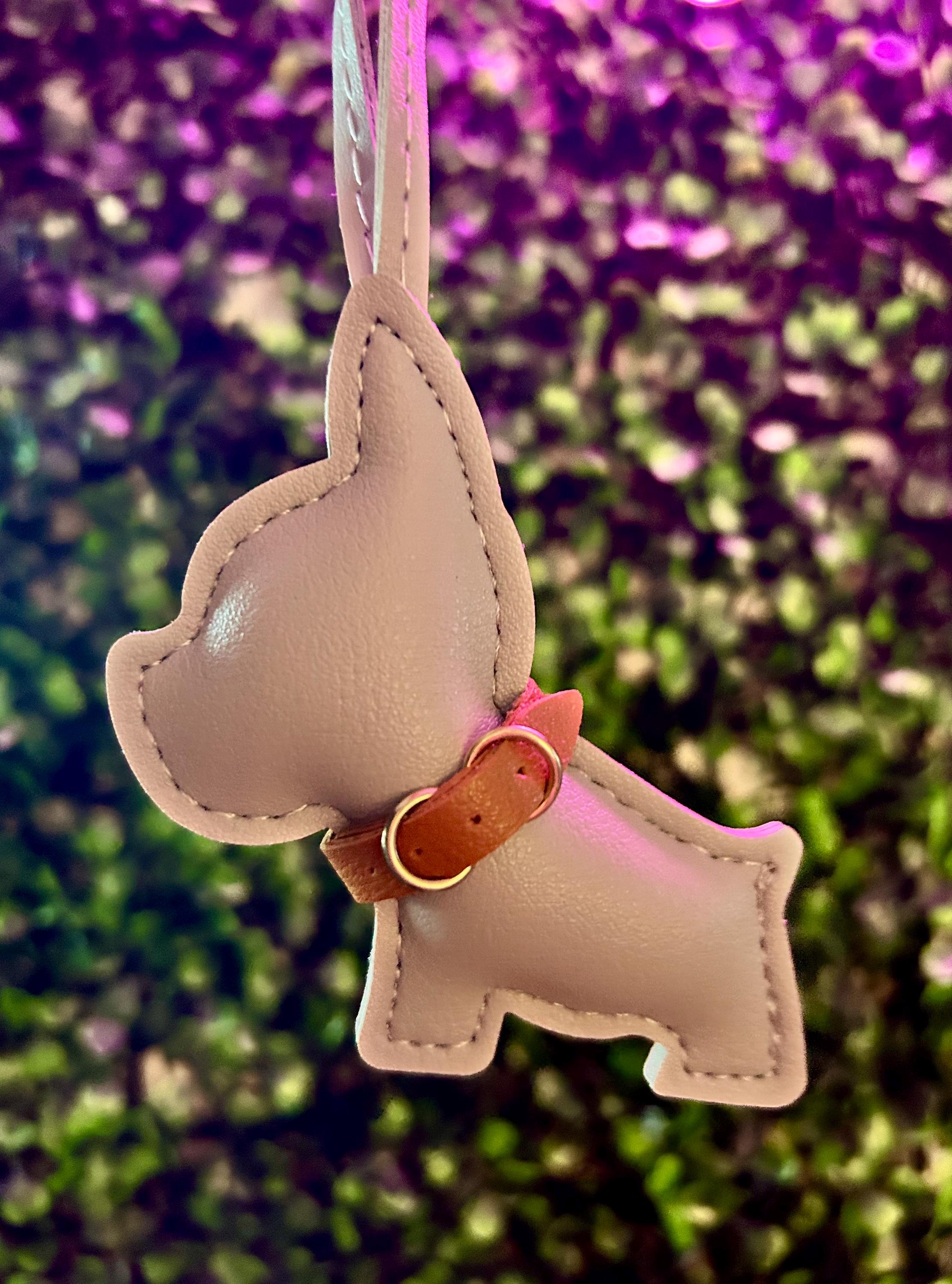 De Franse Bulldog Zit In De Kofferbak Met Bagage Die Klaar Is Om Op Vakantie Te Gaan 158545579