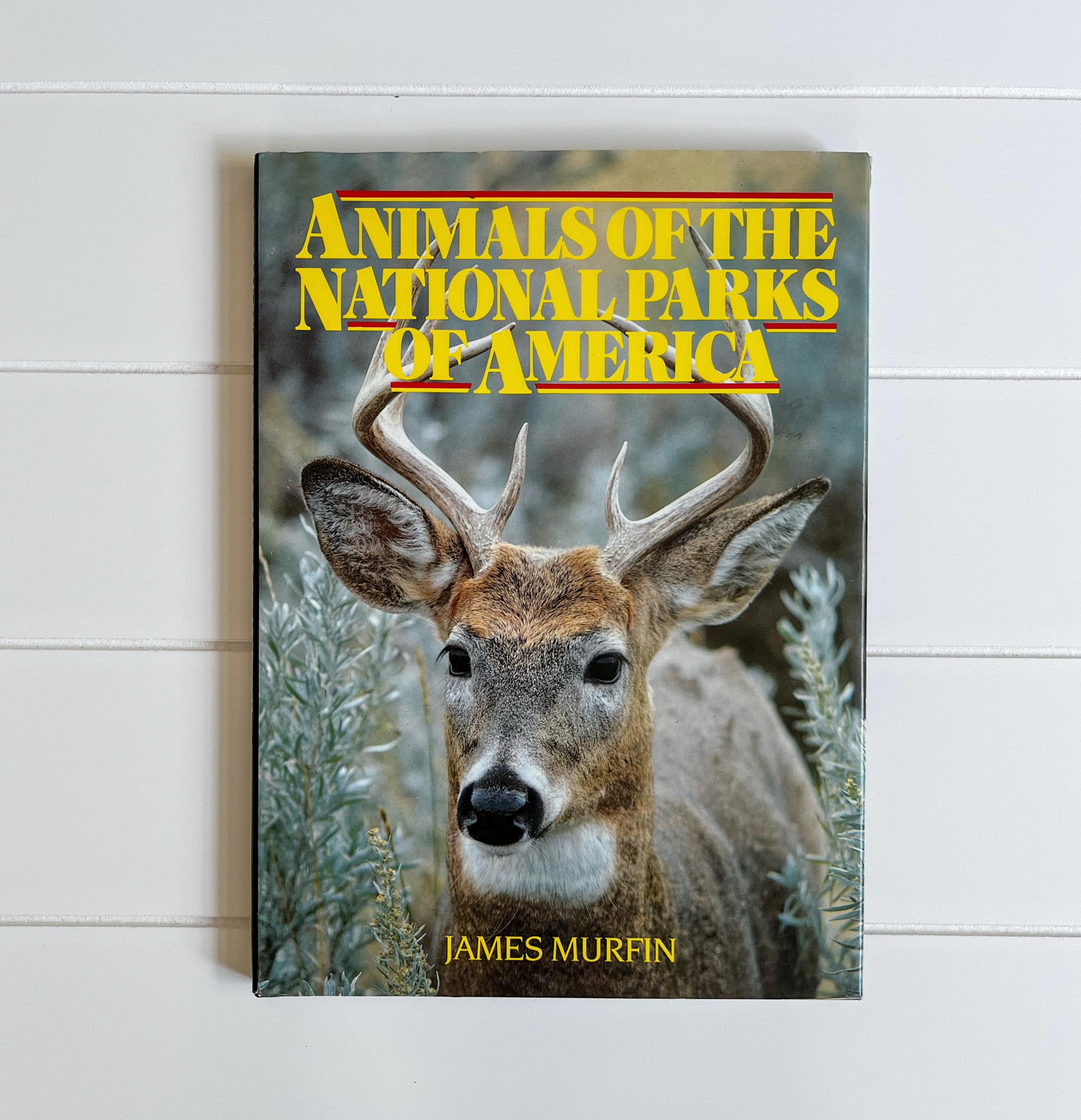 Wildlife Gifts for Him 60+ Gift Ideas for 2025