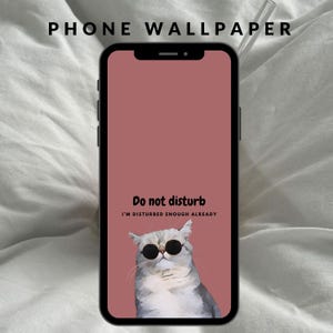 Cute Cat Wallpaper: Funny Phone Background, Pink Coquette Whimsical Wallpaper Animal Fall Color Autumn- iPhone & Android Digital Download
