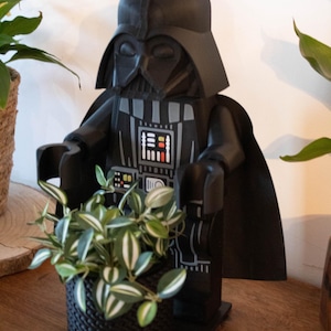 Peut inclure: Une figurine noire de Dark Vador tenant une petite plante en pot avec des feuilles rayées vertes et blanches. La figurine a une cape noire et un panneau de poitrine détaillé. Le pot de la plante est noir et a une texture tissée.