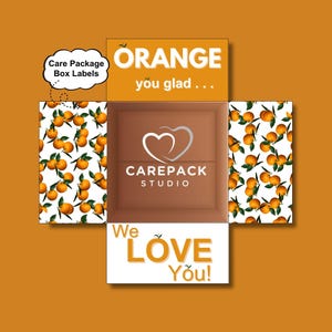 Orange Theme Care Package Label Instant Printable Box Flaps College Son Daughter Deployed Husband Spouse Boyfriend Orange You Glad From Us