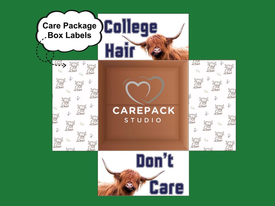 Funny College Package Label Printable Box Flaps University Freshman ...