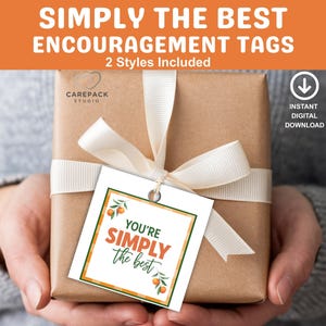 Etichetta regalo stampabile "Simply the Best", etichetta di ringraziamento, etichetta regalo per succo d'arancia, regalo per insegnanti, genitori e insegnanti, sacchetti regalo per dipendenti