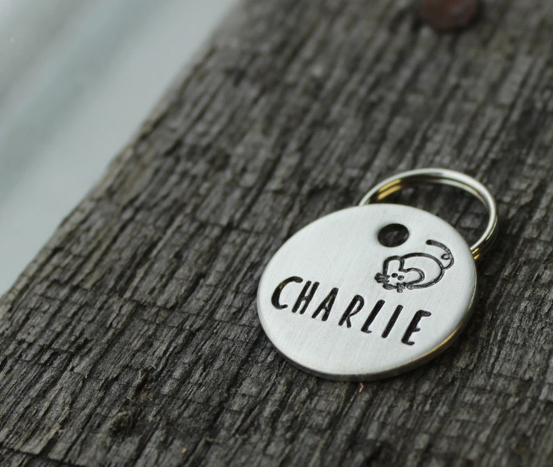 May include: Silver pet tag with a small cat illustration and the name "CHARLIE" engraved on it.