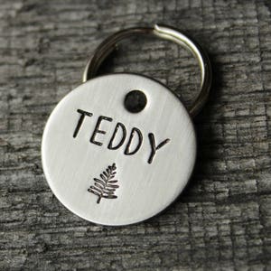 May include: Silver dog tag with the name "Teddy" engraved on it. A small fern design is also engraved on the tag.