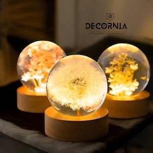 Può includere: Tre sfere decorative di vetro con disegni floreali incorporati, ciascuna illuminata da una calda e soffice luce. Le sfere poggiano su basi rotonde di legno chiaro. Il testo "DECORNIA" è visibile sullo sfondo.