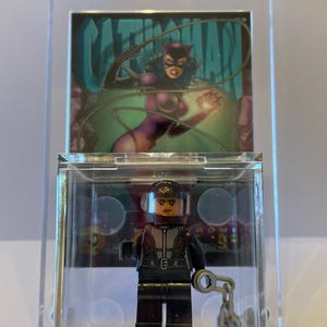 DC Catwoman Custom Display