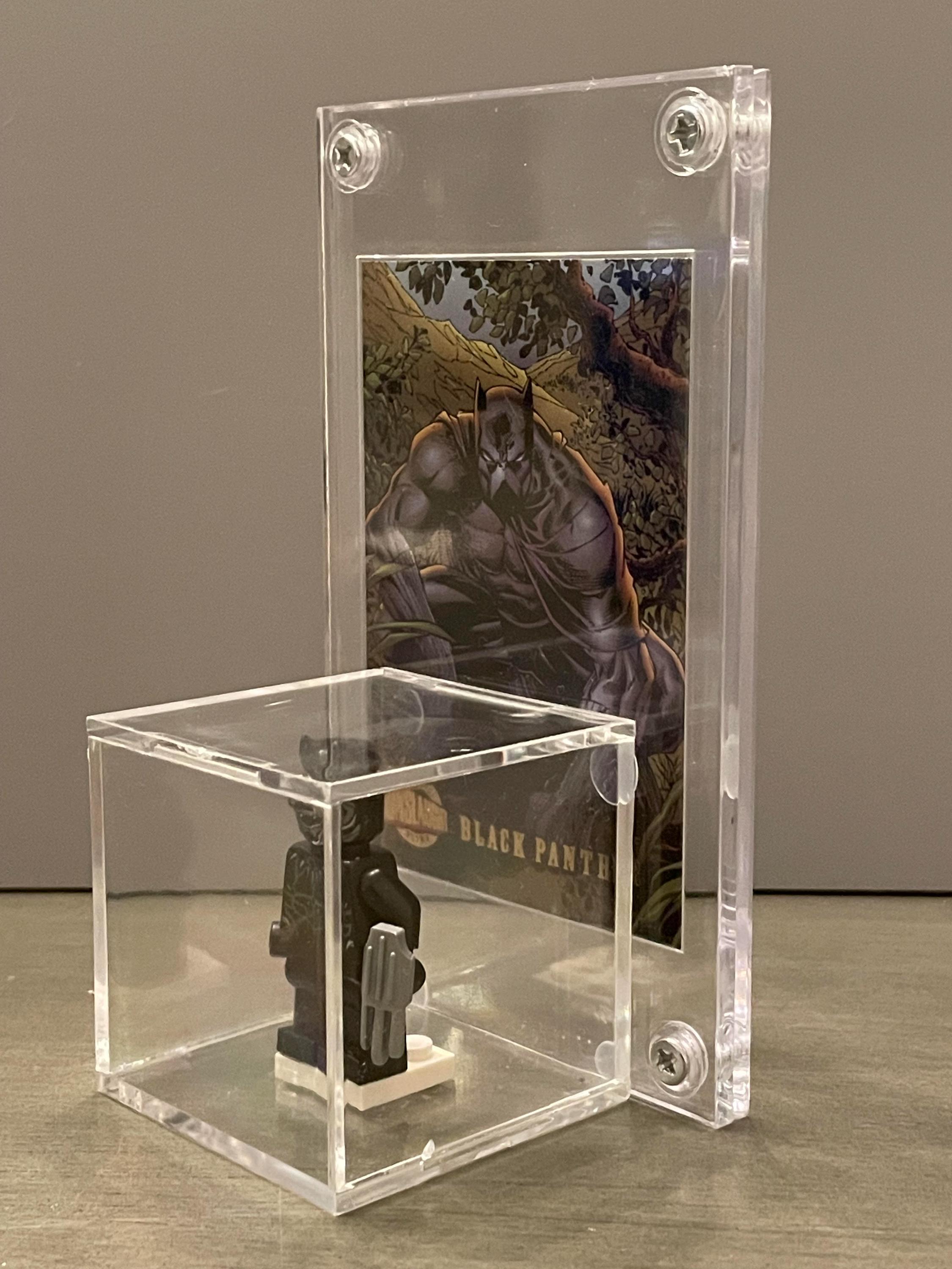 Marvel Black Panther Custom Display
