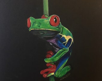 Original Realistic Redeye Frog Drawing - (with derwent colored pencil)