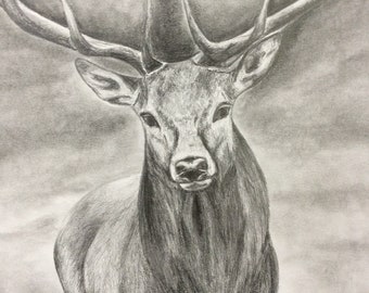 オリジナルのリアルな鹿の鉛筆画 - Etsy 日本