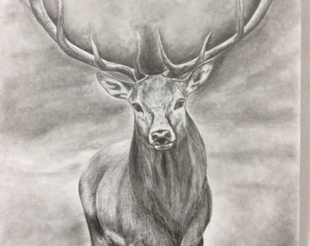 開運❇︎鹿の鉛筆画 A4サイズ世界で一つ完全手書きオリジナル オリジナルのリアルな鹿の鉛筆画 - Etsy 日本