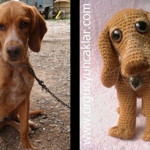 Crocheted Dog image 5