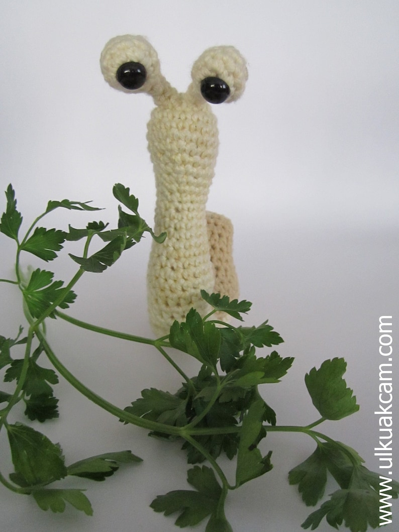 Crocheted Snail image 1