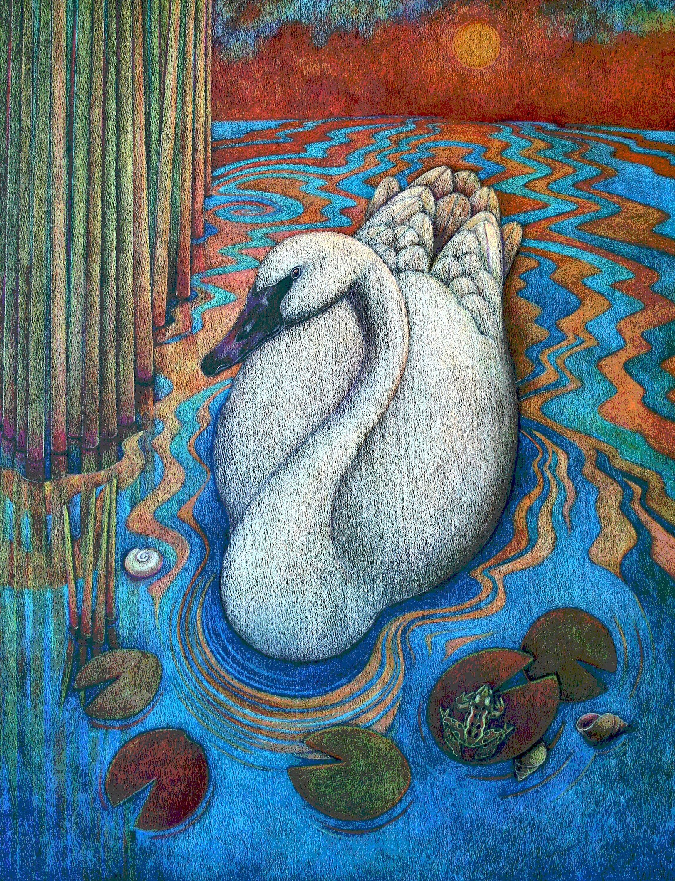 The Swan's Dance, the glance.  This is the third swan in a three drawing series of Trumpeter Swans.