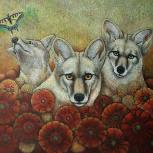 Coyote Family in Blanket Flower Field