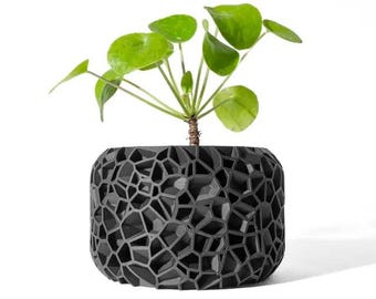 Vori Planter Pot | Modern Geometric Planter Pot | 3D Printed Succulent & Cactus Pot | Eco-Friendly Indoor Plant Pot for Home or Office Decor
