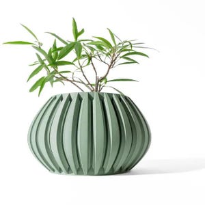 May include: A green ceramic planter with a ribbed design. The planter is filled with a green plant with long, narrow leaves.