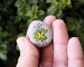 Small guardian angel with clover leaf, lucky charm final exam, driver's license, travel, palm stone, painted stone, pebble, luck