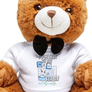 Op de afbeelding: Een bruine teddybeer die een wit shirt draagt met een zwarte strik. Het shirt heeft een afbeelding van een chemische vergelijking met de tekst "Samen zijn we stabiel".