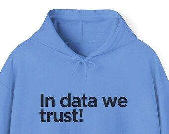 In Data We Trust Hoodie, Data Gift, Computer Programmer Sweatshirt, Technology Lover Jumper, Geeky Apparel , Unisex Hooded Sweatshirt