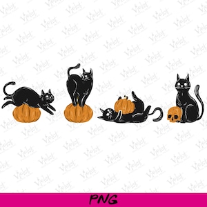 Cat and Pumpkin PNG | Cute Halloween Cat Clipart | Autumn Pumpkin Digital Art | Fall Sublimation Design for Cricut & Silhouette