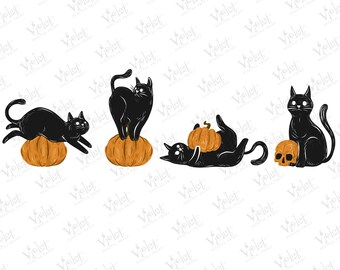 Halloween Cat Pumpkin Clipart | Autumn PNG Graphics (Digital Download)