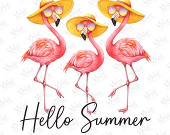 Hello Summer Flamingo PNG: Tropical Beach Clipart (Digital Download