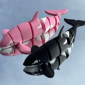 Articulated Orca | Flexi Killer Whale | Customizable colors