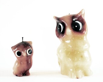 Owls