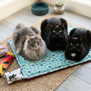 Könnte beinhalten: Drei Katzen, zwei schwarze und eine graue, liegen auf einer blau gemusterten Matte. Katzenspielzeug mit bunten Designs ist in der Nähe verstreut. Eine türkisfarbene Schüssel und eine kleine Topfpflanze befinden sich im Hintergrund. Die Szene spielt sich auf einer gewebten Matte und hellem Holzboden ab.