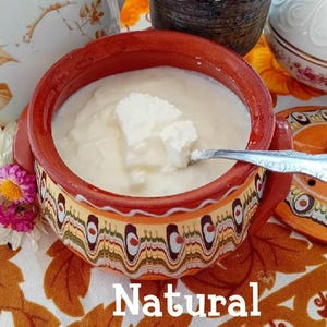 Bulgarische Joghurt Bio Starter Lebt Kulturen Organische, No GMO, probiotische Hausgemachte Joghurt 2L Milch