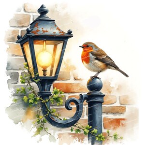 12 Aquarel Robin Clipart, Robin Bird, Lente Bloemen Illustratie, Cottagecore Art, Hoge Kwaliteit JPG's voor Junk Journaling Scrapbooking